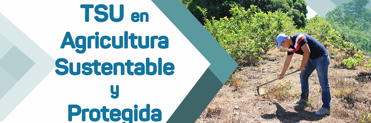 Imagen del banner de la sección TSU en Agricultura Sustentable y Protegida